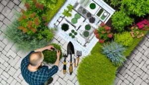 professional garden planning and maintenance guide