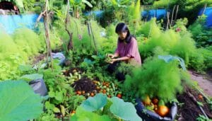 seasonal organic gardening tasks