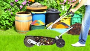 sustainable lawn care techniques