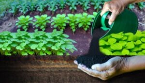 top 9 soil boosting fertilizers