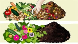 turning garden waste into fertile soil