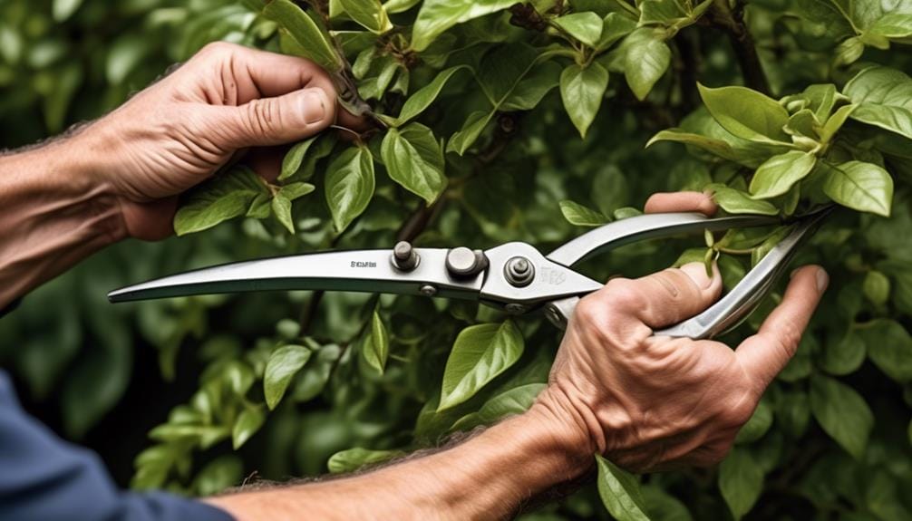 understanding professional pruning techniques
